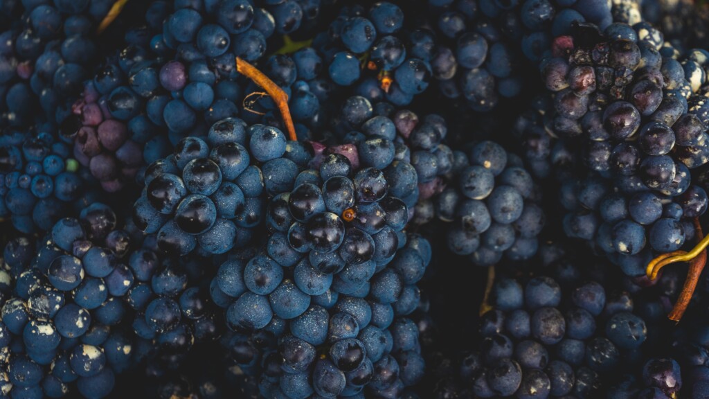 andrea-cairone-H5jkepfmSNQ-unsplash