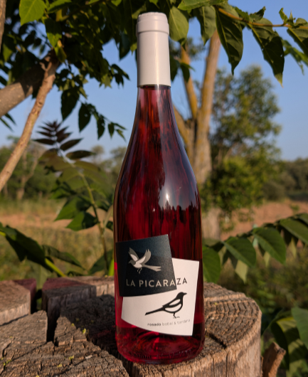 Pack Rosado 3 botellas